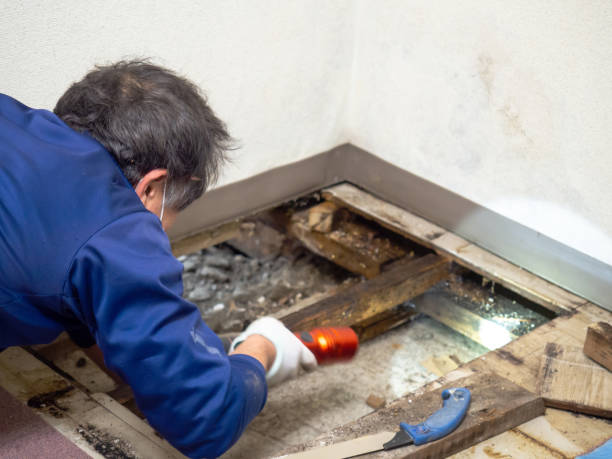 Best Crawl Space Mold Removal  in Lanham, MD