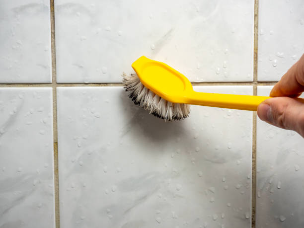 Best Professional Mold Removal  in Lanham, MD