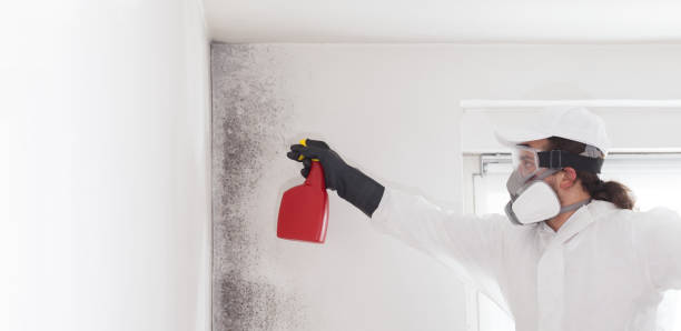 Home Mold Removal in Lanham, MD