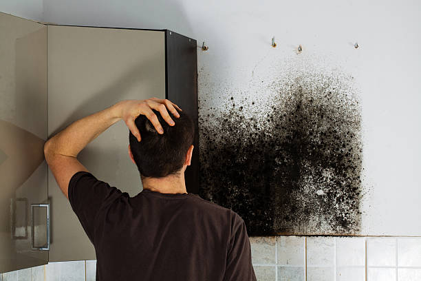Best Crawl Space Mold Removal  in Lanham, MD